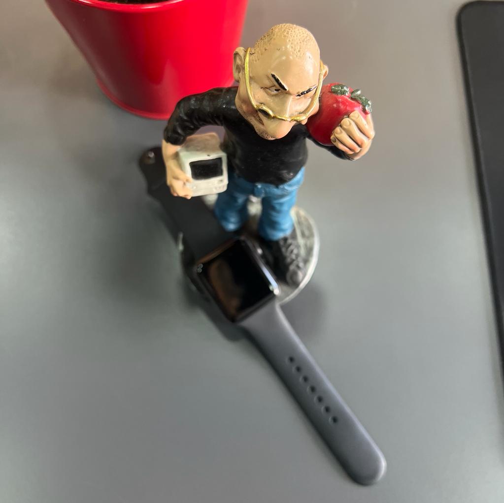 Apple Watch Seri 3 42mm Spacegray Aluminium Spor Band TR